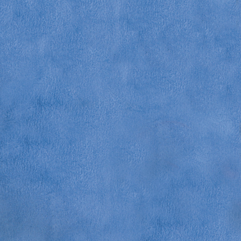 Carica immagine in Galleria Viewer, Spugna in cellulosa, con forma mezza luna per decorazione | BOLDRINI